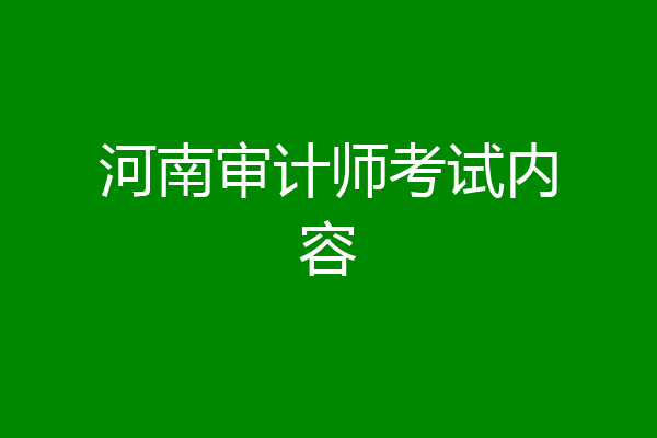 河南审计师考试内容