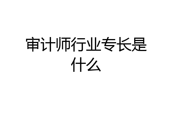 审计师行业专长是什么