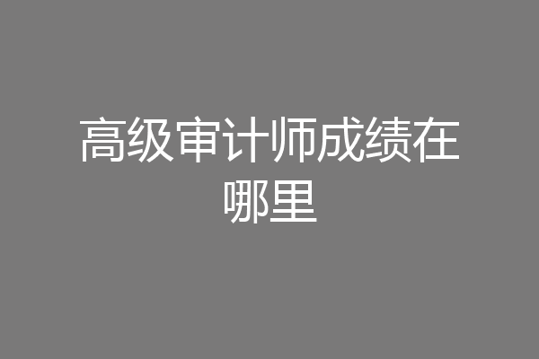 高级审计师成绩在哪里