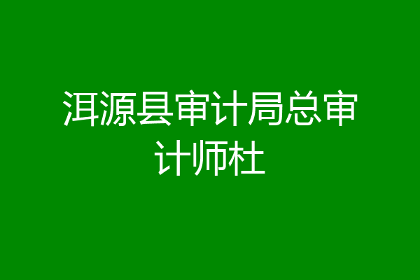 洱源县审计局总审计师杜