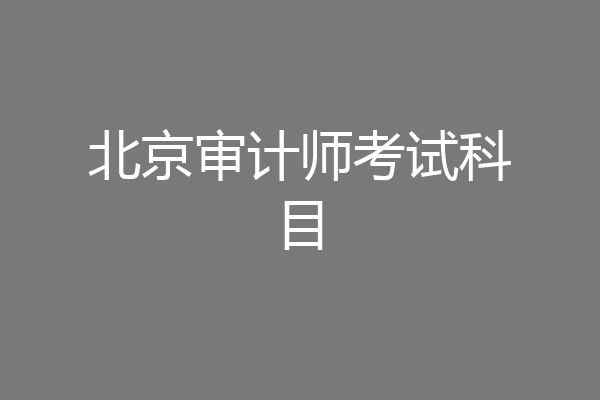 北京审计师考试科目