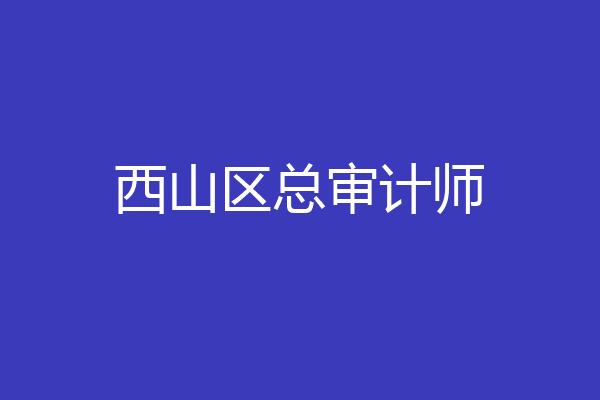 西山区总审计师