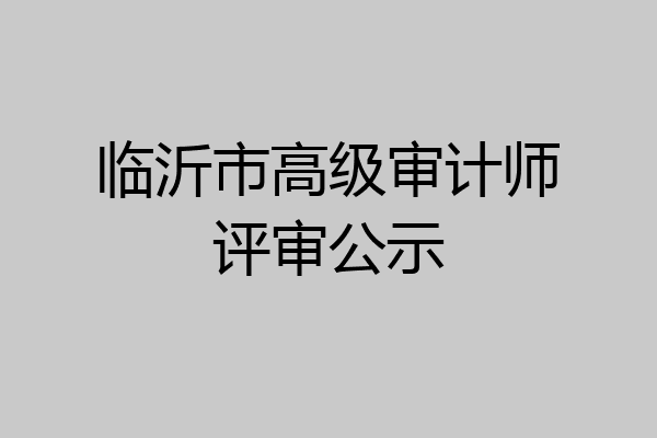 临沂市高级审计师评审公示