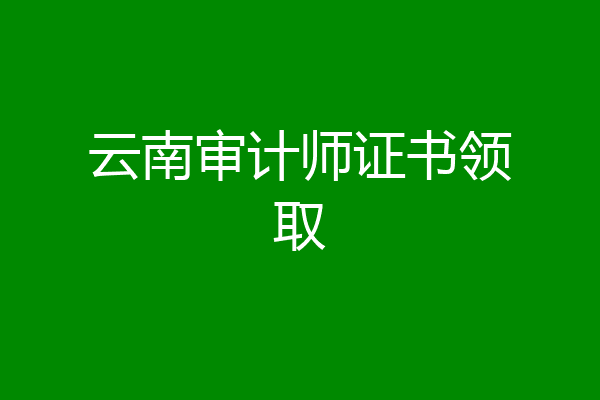 云南审计师证书领取