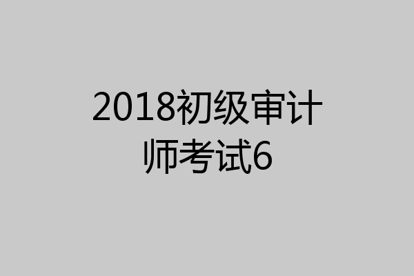 2018初级审计师考试6