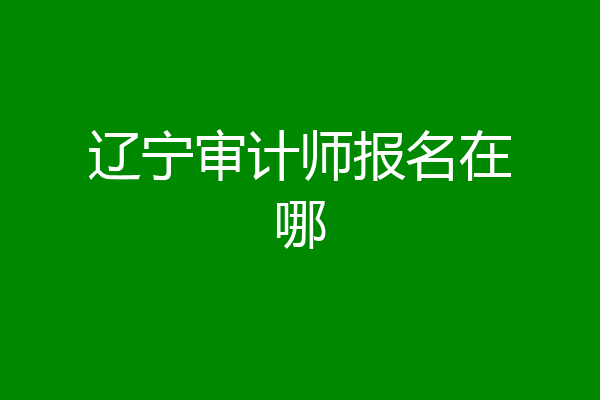 辽宁审计师报名在哪