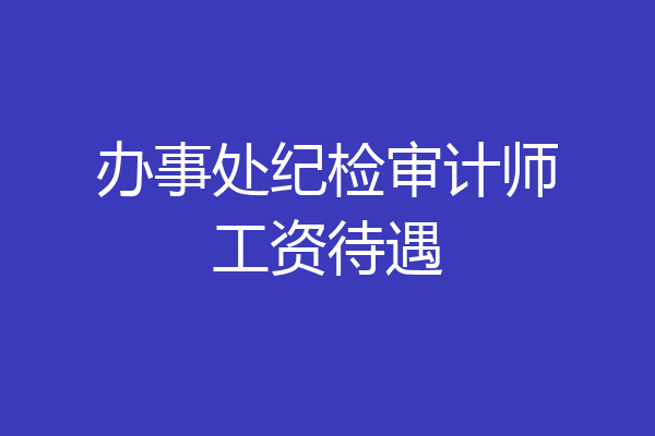 办事处纪检审计师工资待遇