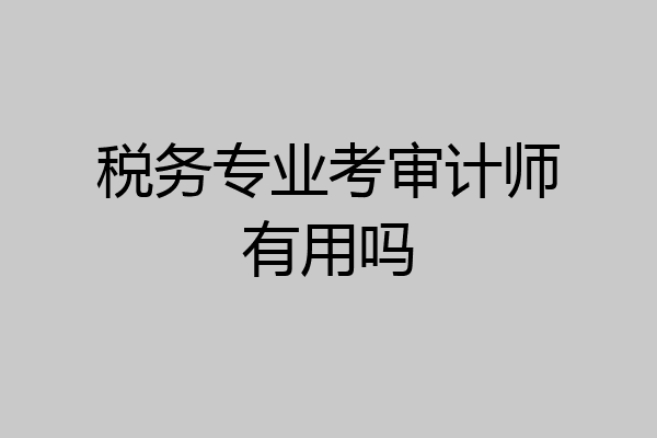 税务专业考审计师有用吗