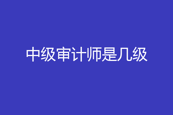 中级审计师是几级