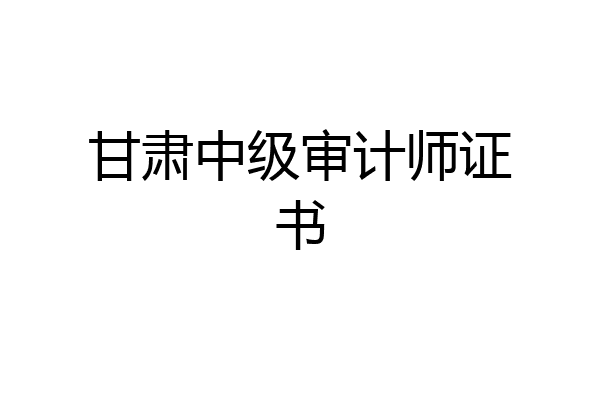 甘肃中级审计师证书