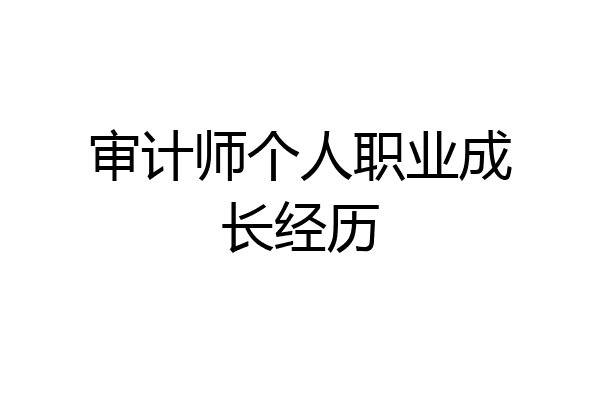 审计师个人职业成长经历