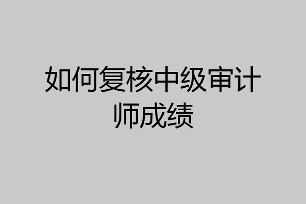 如何复核中级审计师成绩