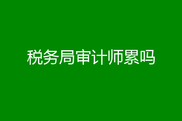 税务局审计师累吗