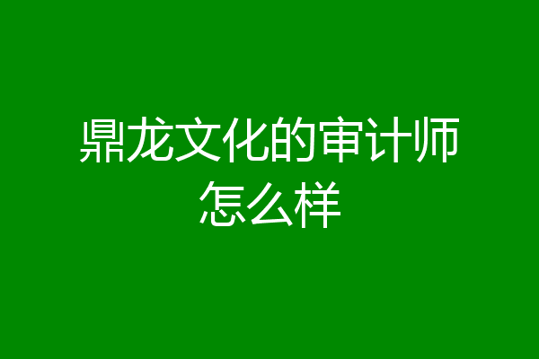 鼎龙文化的审计师怎么样