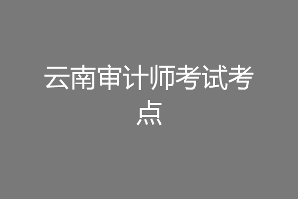 云南审计师考试考点
