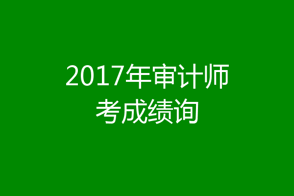 2017年审计师考成绩询