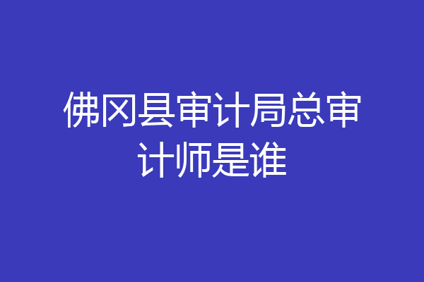 佛冈县审计局总审计师是谁
