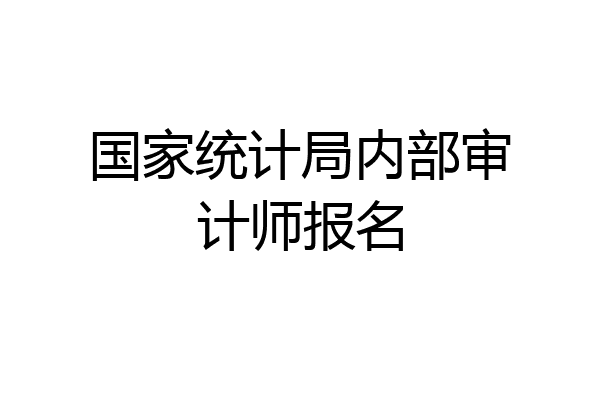 国家统计局内部审计师报名