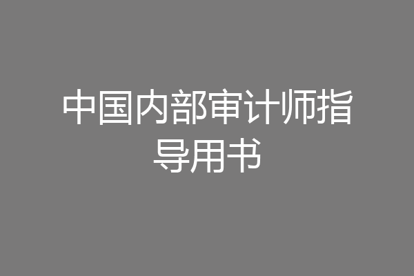 中国内部审计师指导用书