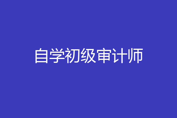 自学初级审计师