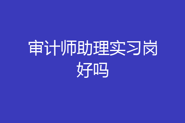 审计师助理实习岗好吗