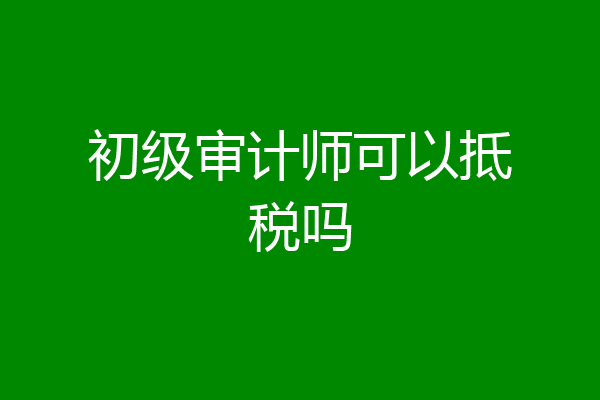 初级审计师可以抵税吗