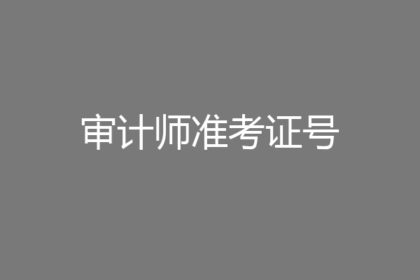 审计师准考证号