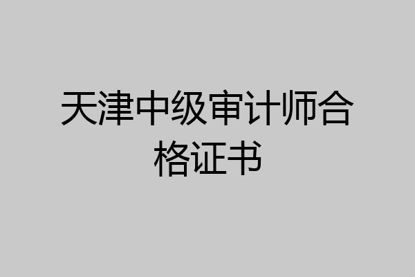 天津中级审计师合格证书