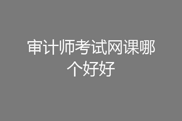 审计师考试网课哪个好好