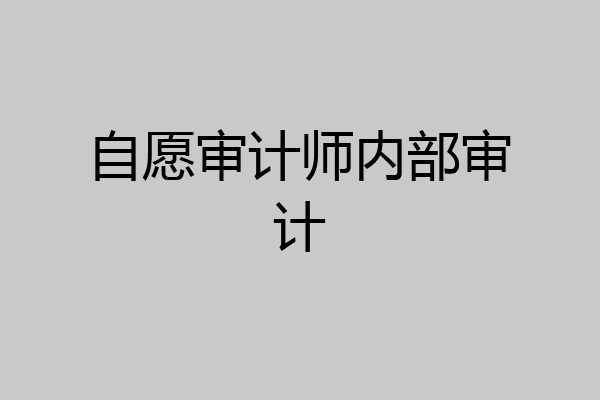 自愿审计师内部审计