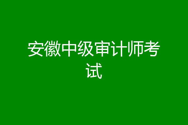 安徽中级审计师考试