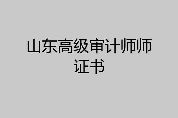 山东高级审计师师证书