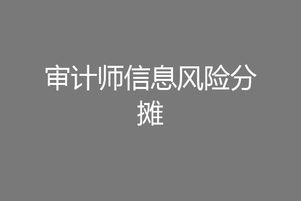 审计师信息风险分摊
