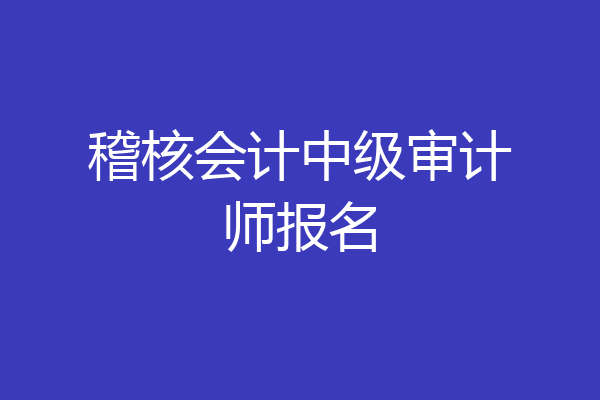 稽核会计中级审计师报名