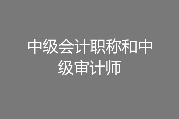 中级会计职称和中级审计师