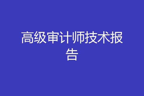 高级审计师技术报告