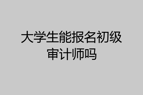 大学生能报名初级审计师吗
