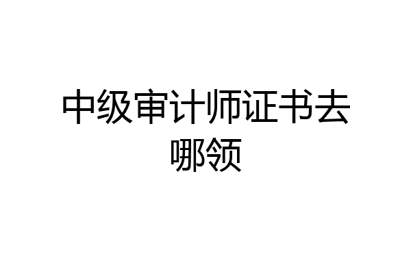 中级审计师证书去哪领
