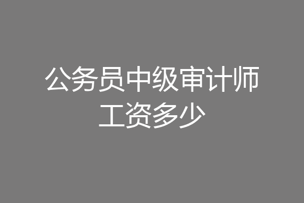 公务员中级审计师工资多少