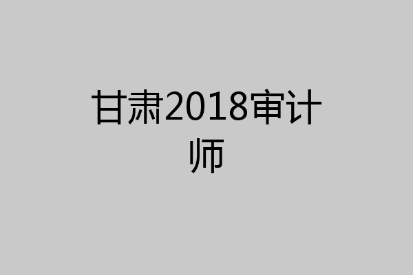 甘肃2018审计师