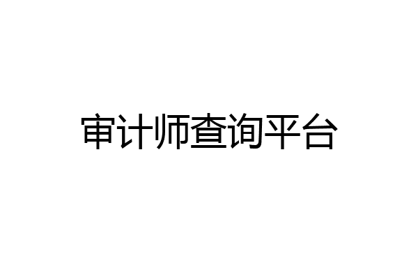 审计师查询平台