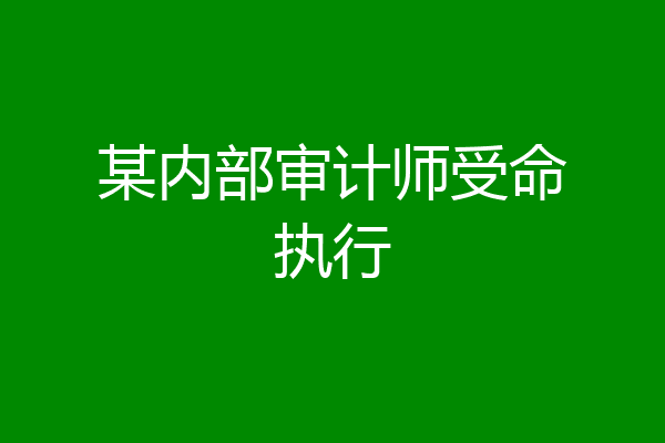 某内部审计师受命执行