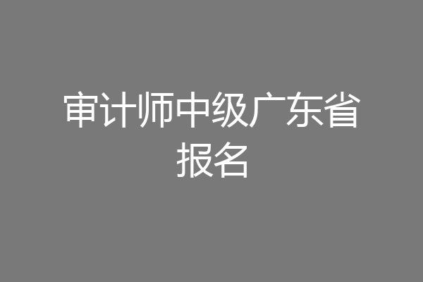 审计师中级广东省报名