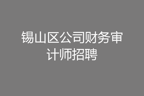 锡山区公司财务审计师招聘