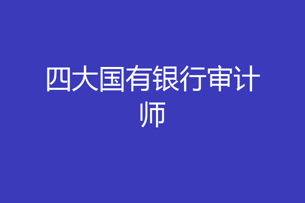 四大国有银行审计师