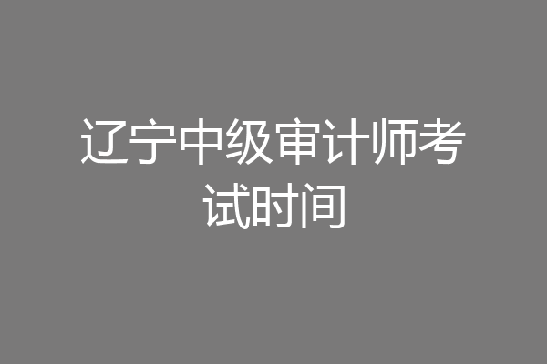 辽宁中级审计师考试时间