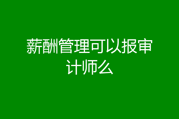 薪酬管理可以报审计师么