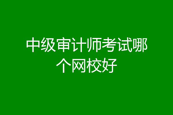中级审计师考试哪个网校好