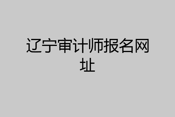 辽宁审计师报名网址