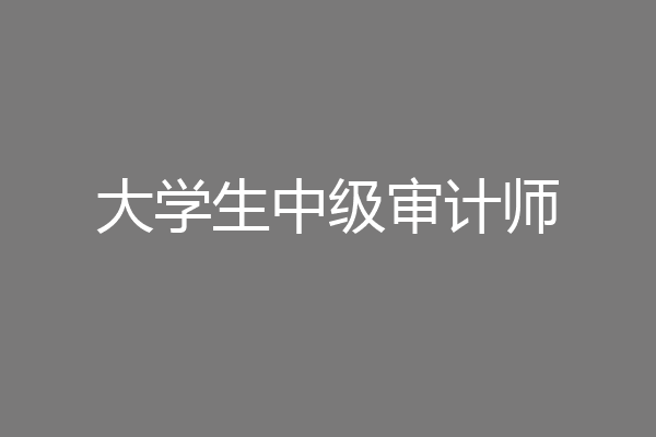 大学生中级审计师